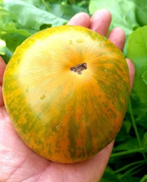 ����� ��������: ����� ����� ������� ����� �������� � 2025 ����?