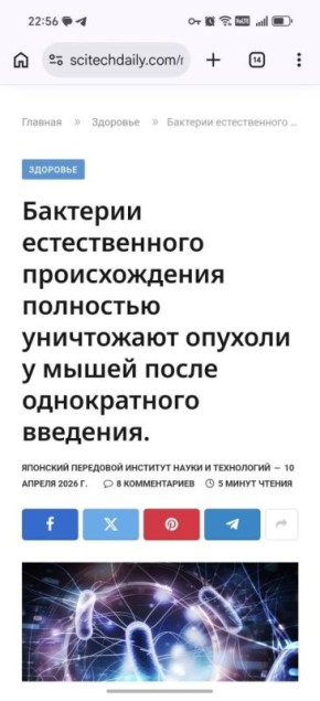 "Бактерия из микробиоты кишечника лягушки уничтожила опухоли у мышей, избирательно колонизируя их и вызывая как прямое уничтожение клеток, так и противораковые реакции, опосредованные иммунной системой"