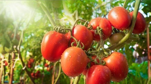 ������� �������� ������� �������: ��� ����� �������� ��� �������� ������