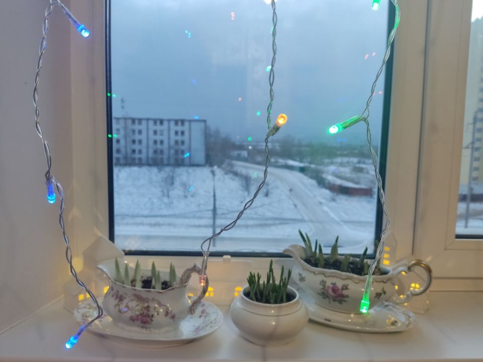 ��� � ���������: ��� �������� �������� ����� ������