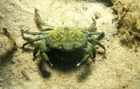 � ������� �����: ��� ���� ������� ��������� ���������� ������ ����������