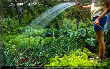 �������� ���� � �������: ��� ������ �������� ��� ��������� ������