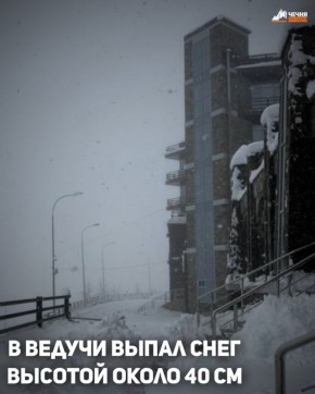 � ���� ������ ����-���������� ������ ������������� ���������� �������� ������� � ������ � ���� �����