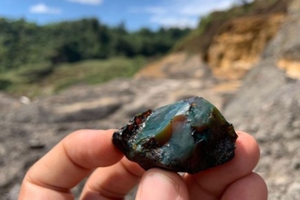 ��������� �������: ����������� ������ ���������� ����� �������� ����