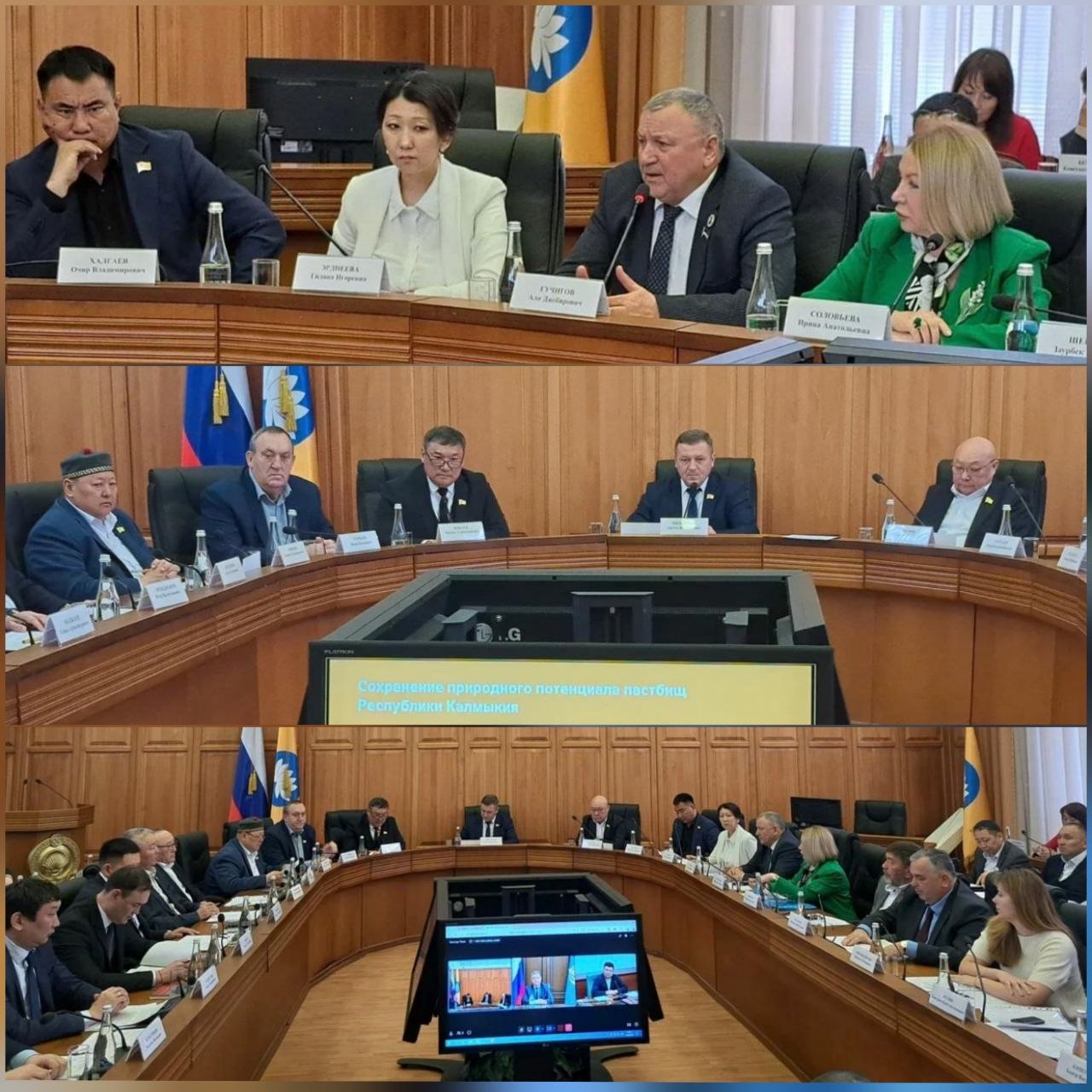 Делегация Чеченской Республики приняла участие в обсуждении проблем опустынивания земель южных регионов РФ