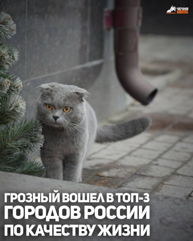 ������� ����� � ����� ���������� ������� � ����� ������� ������� �������� ����� �� ������ ������� �������� 2026 ����, �������� ��� ������� �� ������� �� ������������ ����������� ������������ ��� ������������� ��