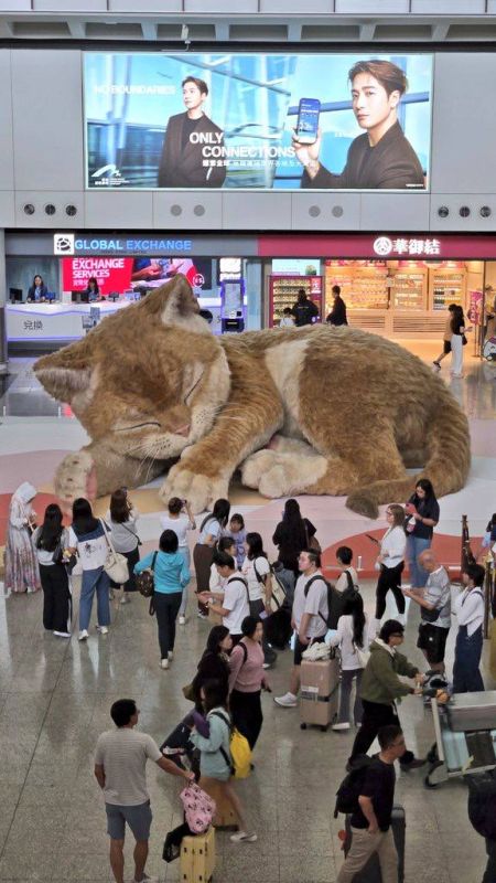 В аэропорту Hong Kong International Airport появился гигантский кот, который мурчит, двигает ушами и хвостом и выглядит максимально реалистично