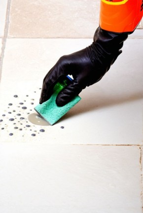 ������� ����� �������: ��������� ����� ������� ��� �������� �����������-���������� �����������