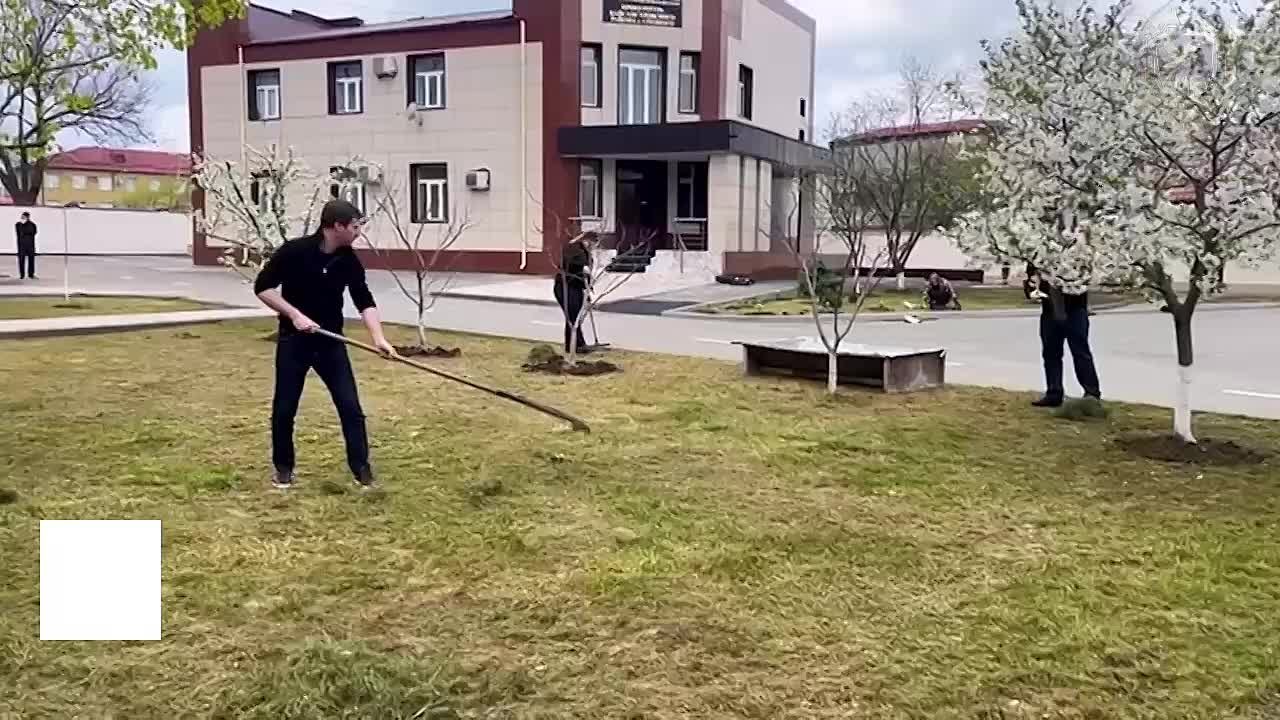 Субботник. Во исполнение поручения прокурора республики Арсана Адаева работниками прокуратуры Байсангуровского района г. Грозного проведен субботник по уборке административного здания, санитарной очистке и облагораживанию...