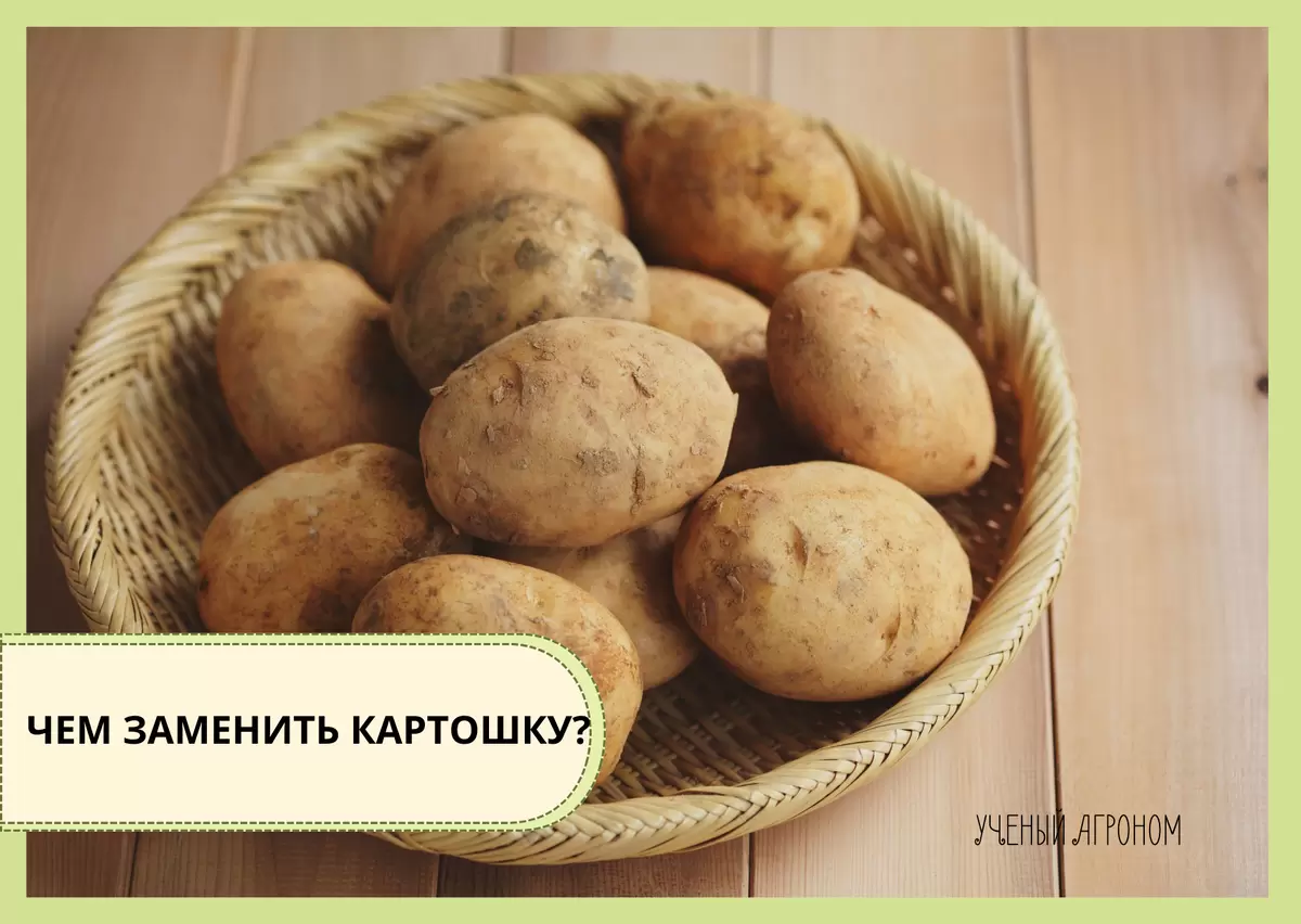 Замены картофелю: какие овощи помогут разнообразить ваш огород