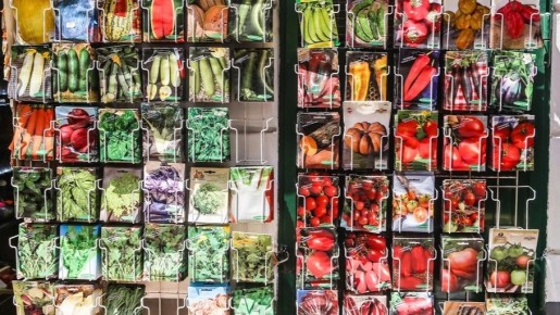 ��� ������� �������� ������ � 2026 ����: ����������� ����� � �������� ������