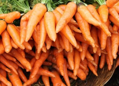 ������ �� ������ ������� � ������: ��� �������� ����� ���������������� ������