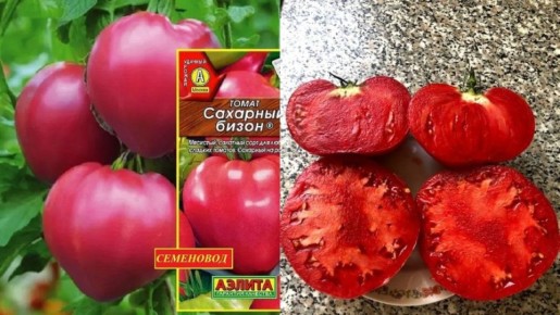 ������-��������: ��� ��������� ������, ������� �������� ������� �������