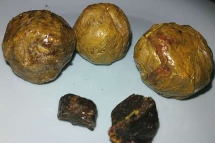 ��������: ���������� ������� ������������ � ��� ������������ ��������