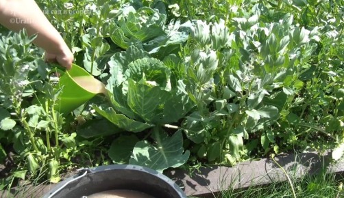 ��� �������� ������� �� ���������� � ��������� �� ���, ����� ��������� �������� ������