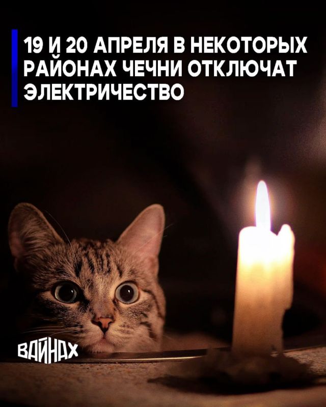 ������������ ������������� ������� ������� � ��������� ��������� ������ �������������� �� 20 ������