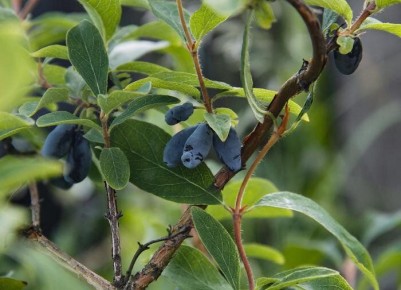 ����� ��� ���������: ����� ��������� ������� ������ �������� ��������