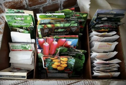 ������� �������������� �����: ��� �������� ������ � ������������� � ������ ������