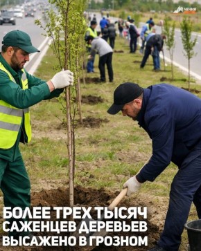 � ������� ��������� ���������� � ������ �������� ���� �������� ����� 3000 �������� ��������, �������� � ����� ��������