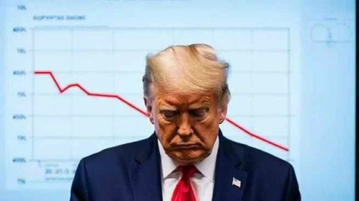 ������� ��������� ������ ���� �� 37%