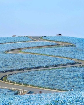 � ������ ������� ����� �������� ������� �������� � � ��� ����������� �������� � ����������������� �������