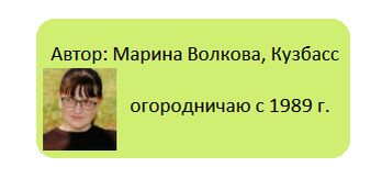 � ������������ �����: ������ ���������� ����