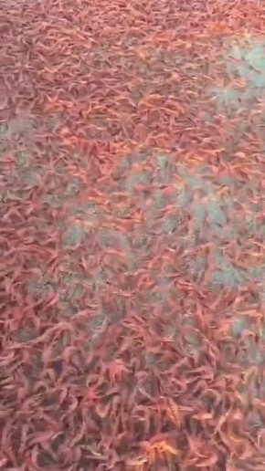 ������� ���������� �������� � ������ ������������ ������ �� ������ ������� � ����� ��������� ������ � �����