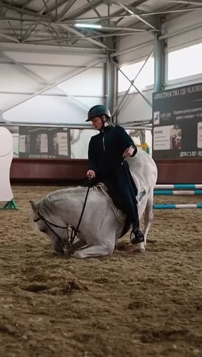 �� ���������� ��������� ����� ����-������� ������� ������������ ��������� ����� �������� ���� ����� ����