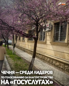 ��������� ���������� ����� � ����� ����� �������� �������� ������ �� ������� � ����������� �� ������� ��������������� �� ������������, �������� � ��������