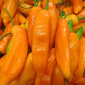 ����� ��� ��������: ���������� ��������� ���� ��� ���������