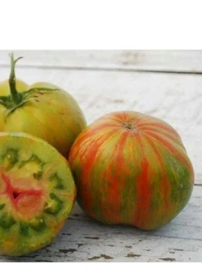 ������ ��� ��� ����: ��������� ����� � ����� ������ � ���������� ������