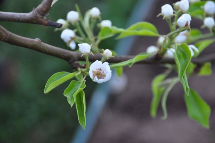 ��� ��������� ������ � ���� � �� �������� ������