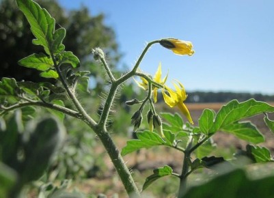 ������ ����: ��� ����� ����� � ������ ���������