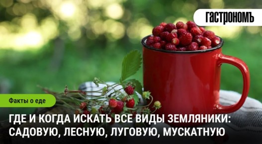 ����� � ��� �������� ���������