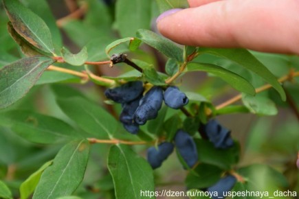 ��������� ��������� ���������: ������� ��������� ������