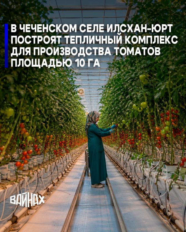 ��������� �������� ��� ������������ ������� ����������� ������� � ��������� ������ �����
