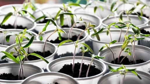 ��� ��������� ���������� �������: ��� �������� ����������