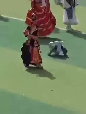 � ����� ����� ����� ��-��� �������� �� ����� ��� � ���� �� ����������� ���������