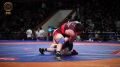 � ������� ���������� �������� ���������� ������ �� ������� ������ ����� ������� �� 24 ���