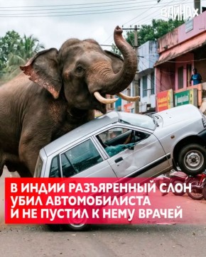 � ��������� ����� ������ ����, ����������� ��� ������� � ����������� ��������� � ����������� �����, �������� � ����, ����� �� ���������� � ���� ��������, ������� ��� �����