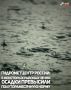 � ��������� ��� �� ���������� ��������� ���������� ���������� ������������ ������ � ������������ ��������, �������, ������ � ���������� ������