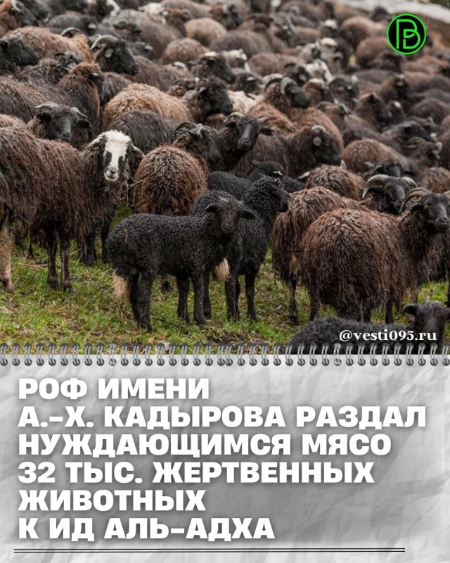 Об этом Глава ЧР Рамзан Кадыров сообщил в своём Телеграм-канале