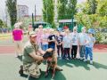 В преддверии Дня кинологической службы транспортные полицейские Белгорода познакомили дошколят с работой служебной собаки