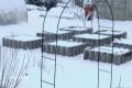 Зелень из-под снега: как собирать урожай даже в холодной весне