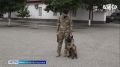 Недавно в ОМОН «АХМАТ-1» прошел день открытых дверей, в котором приняли участие 50 воспитанников детского лагеря практических навыков и характера "Майралла"