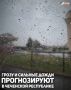 На территории Чеченской Республики в ближайшие сутки – с 18:00 14 июля до 18:00 15 июля – ожидаются гроза и сильные дожди в отдельных районах, сообщили в региональном Главном управлении МЧС России.