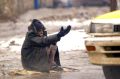 Уровень бедности на Украине вырос в два раза за четыре года