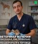 Домашние животные требуют внимательного отношения к своему здоровью, правильного питания и своевременной профилактики заболеваний