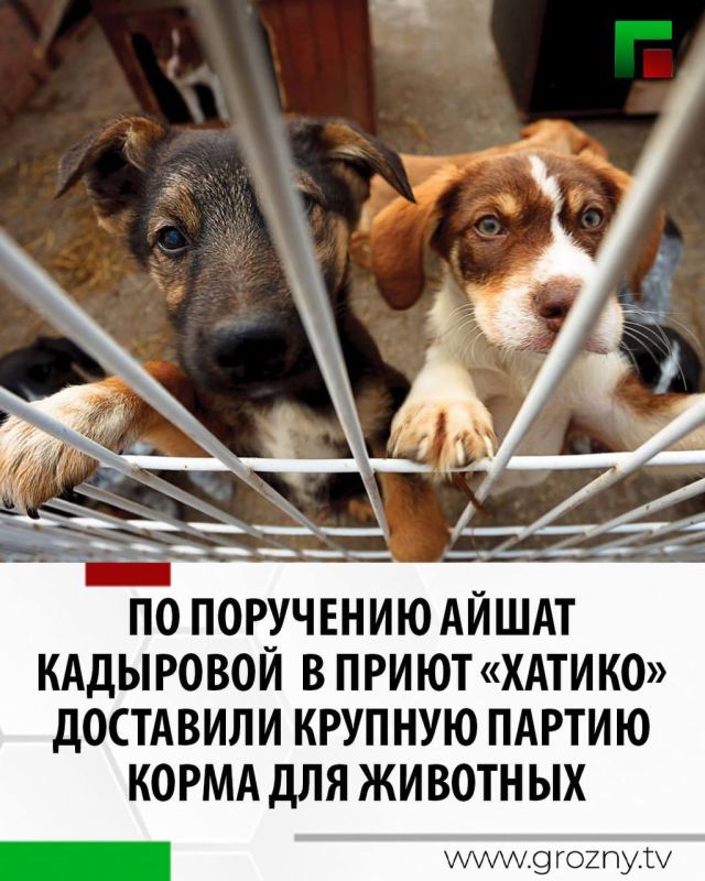 По поручению Айшат Кадыровой в приют «Хатико» доставили крупную партию корма для животных