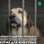���������������, ������������ �������, ������ ������� ���������� ��������� ����������, ����� ������ ������-����� �������� ����� �������� �������� ������ ������� ������� ������ ����� ��� ����� � �����